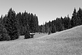 L1003312 - Bernhard Saalfeld