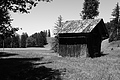 L1003313 - Bernhard Saalfeld