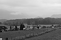L1003329 - Bernhard Saalfeld
