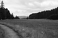 L1003334 - Bernhard Saalfeld