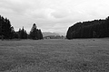 L1003335 - Bernhard Saalfeld