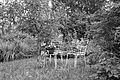 L1003351 - Bernhard Saalfeld