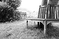 L1003354 - Bernhard Saalfeld