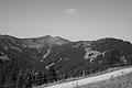L1003355 - Bernhard Saalfeld