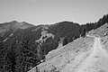 L1003356 - Bernhard Saalfeld