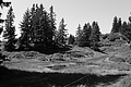 L1003365 - Bernhard Saalfeld