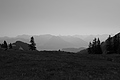 L1003366 - Bernhard Saalfeld