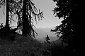L1003367 - Bernhard Saalfeld