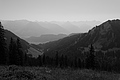 L1003368 - Bernhard Saalfeld