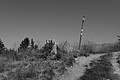 L1003371 - Bernhard Saalfeld