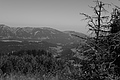 L1003385 - Bernhard Saalfeld