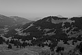 L1003387 - Bernhard Saalfeld