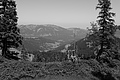 L1003390 - Bernhard Saalfeld