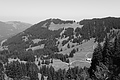 L1003391 - Bernhard Saalfeld