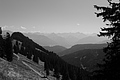 L1003399 - Bernhard Saalfeld