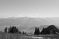 L1003411 - Bernhard Saalfeld