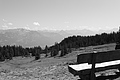 L1003418 - Bernhard Saalfeld