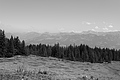L1003419 - Bernhard Saalfeld