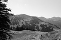 L1003420 - Bernhard Saalfeld