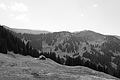 L1003422 - Bernhard Saalfeld