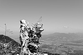 L1003426 - Bernhard Saalfeld