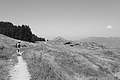 L1003430 - Bernhard Saalfeld