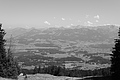 L1003436 - Bernhard Saalfeld