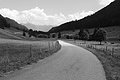 L1003470 - Bernhard Saalfeld