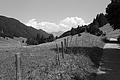 L1003471 - Bernhard Saalfeld