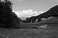 L1003475 - Bernhard Saalfeld