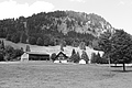 L1003476 - Bernhard Saalfeld