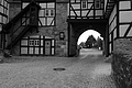 L1003498 - Bernhard Saalfeld