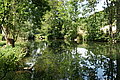 DSC07458 - Bernhard Saalfeld
