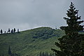 DSC07671 - Bernhard Saalfeld