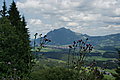DSC07709 - Bernhard Saalfeld