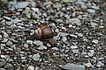 DSC07710 - Bernhard Saalfeld