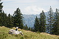 DSC07731 - Bernhard Saalfeld