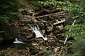 DSC07749 - Bernhard Saalfeld