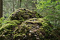DSC07759 - Bernhard Saalfeld