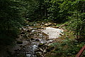 DSC07765 - Bernhard Saalfeld