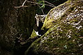 DSC07778 - Bernhard Saalfeld
