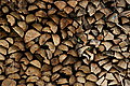 DSC07830 - Bernhard Saalfeld