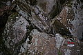DSC07932 - Bernhard Saalfeld