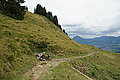 DSC07947 - Bernhard Saalfeld