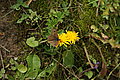 DSC07948 - Bernhard Saalfeld