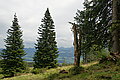 DSC07957 - Bernhard Saalfeld