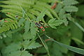 DSC07976 - Bernhard Saalfeld