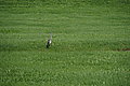 DSC07984 - Bernhard Saalfeld