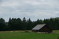 DSC08010 - Bernhard Saalfeld