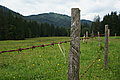 DSC08034 - Bernhard Saalfeld